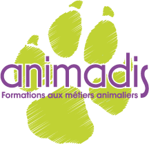 Animadis